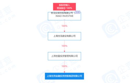 世茂集团的金融棋局